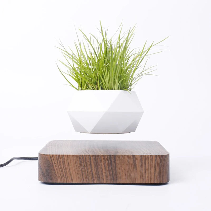 Leviora Floating Plant Pot