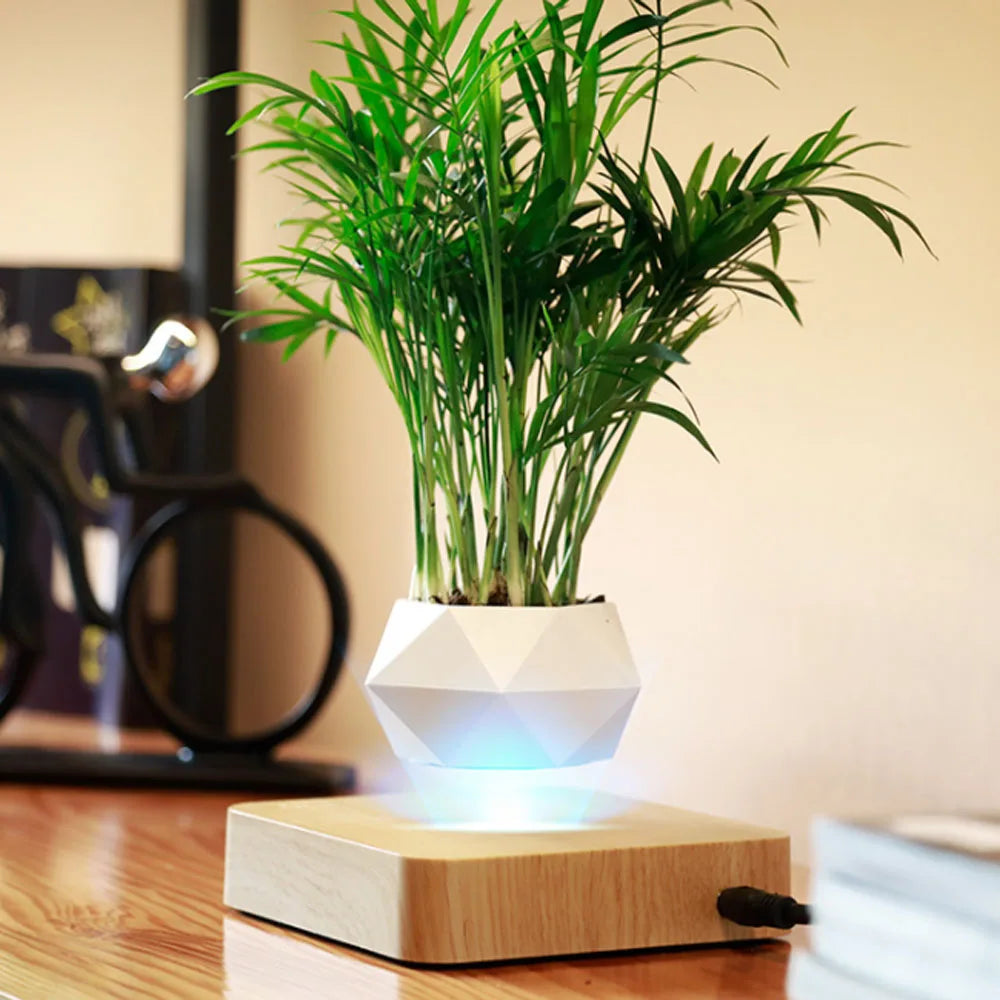Leviora Floating Plant Pot