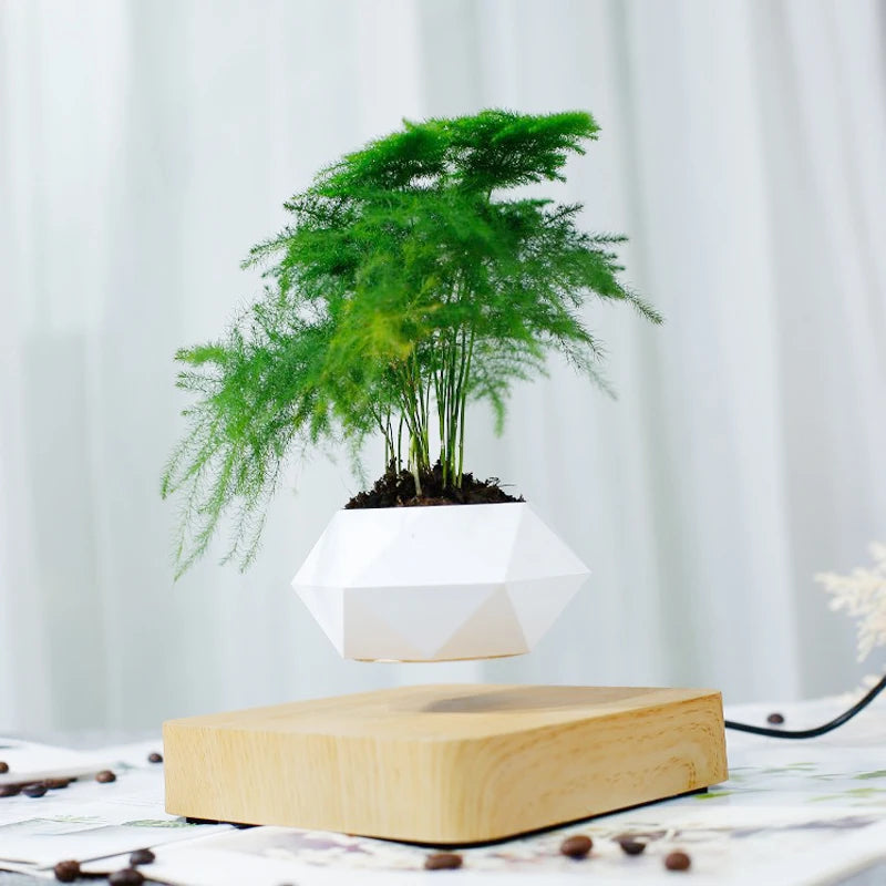 Leviora Floating Plant Pot