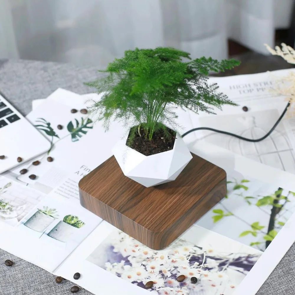 Leviora Floating Plant Pot
