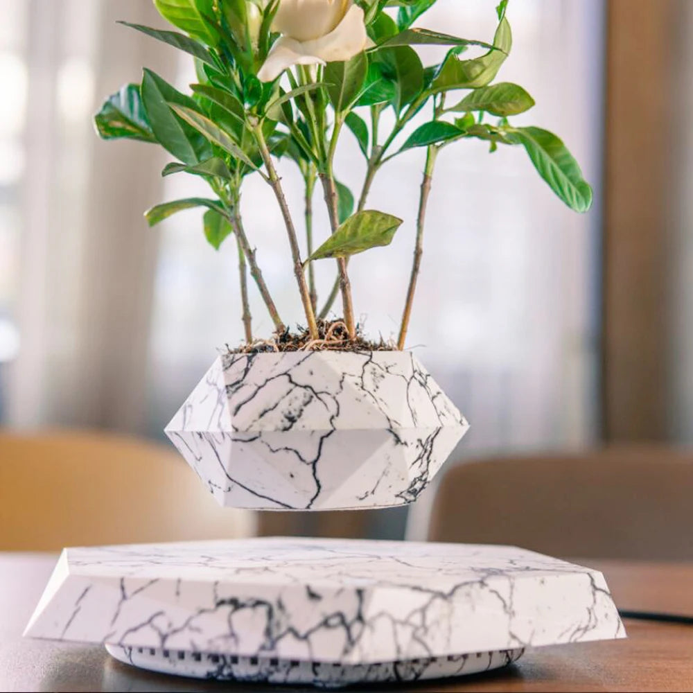 Leviora Floating Plant Pot