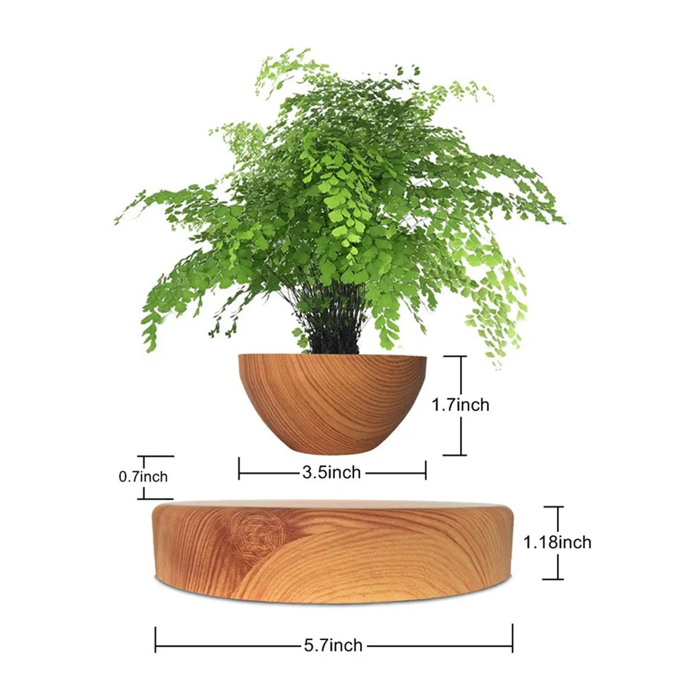 Leviora Floating Plant Pot